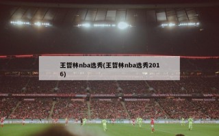 王哲林nba选秀(王哲林nba选秀2016)